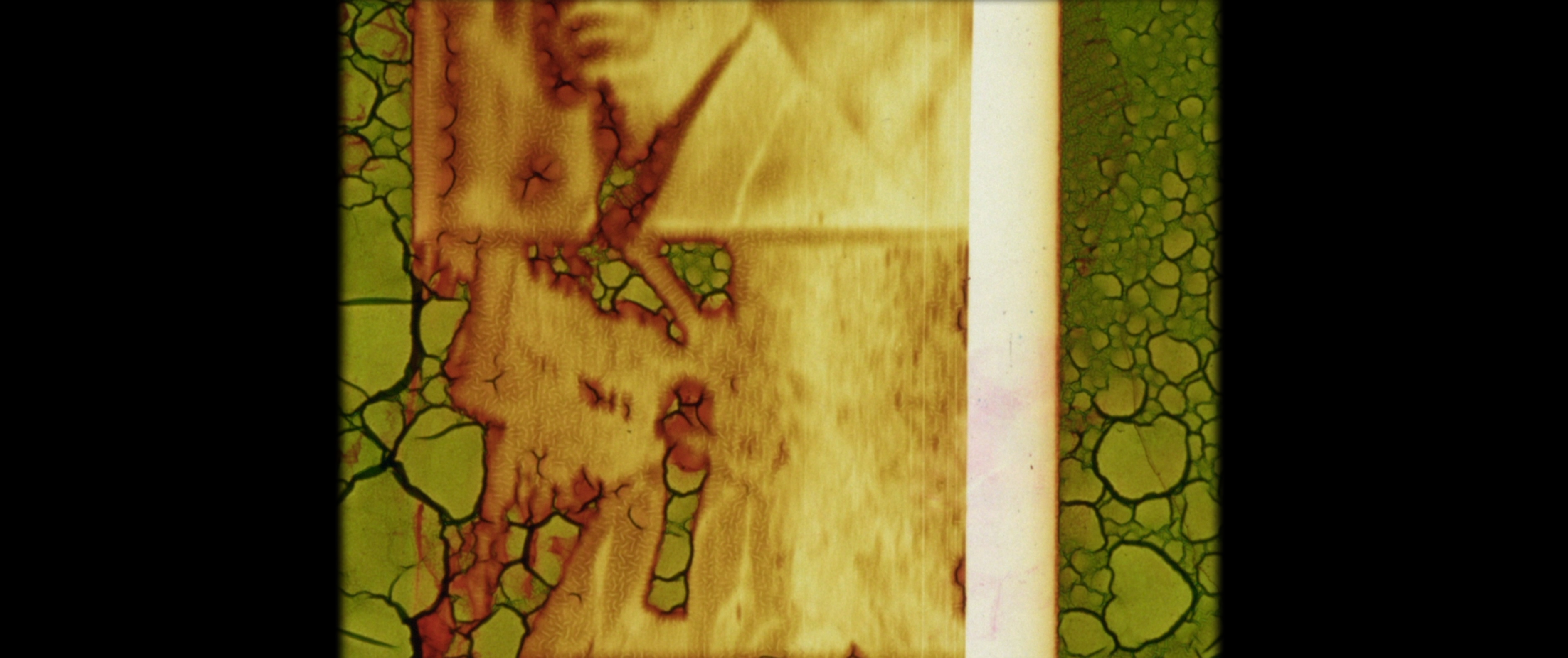 Afternoon Hearsay-4
